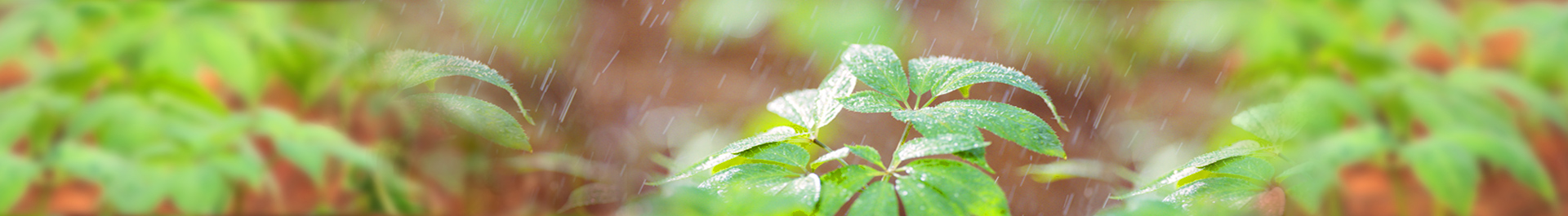 ob电竞·(中国)电子竞技平台